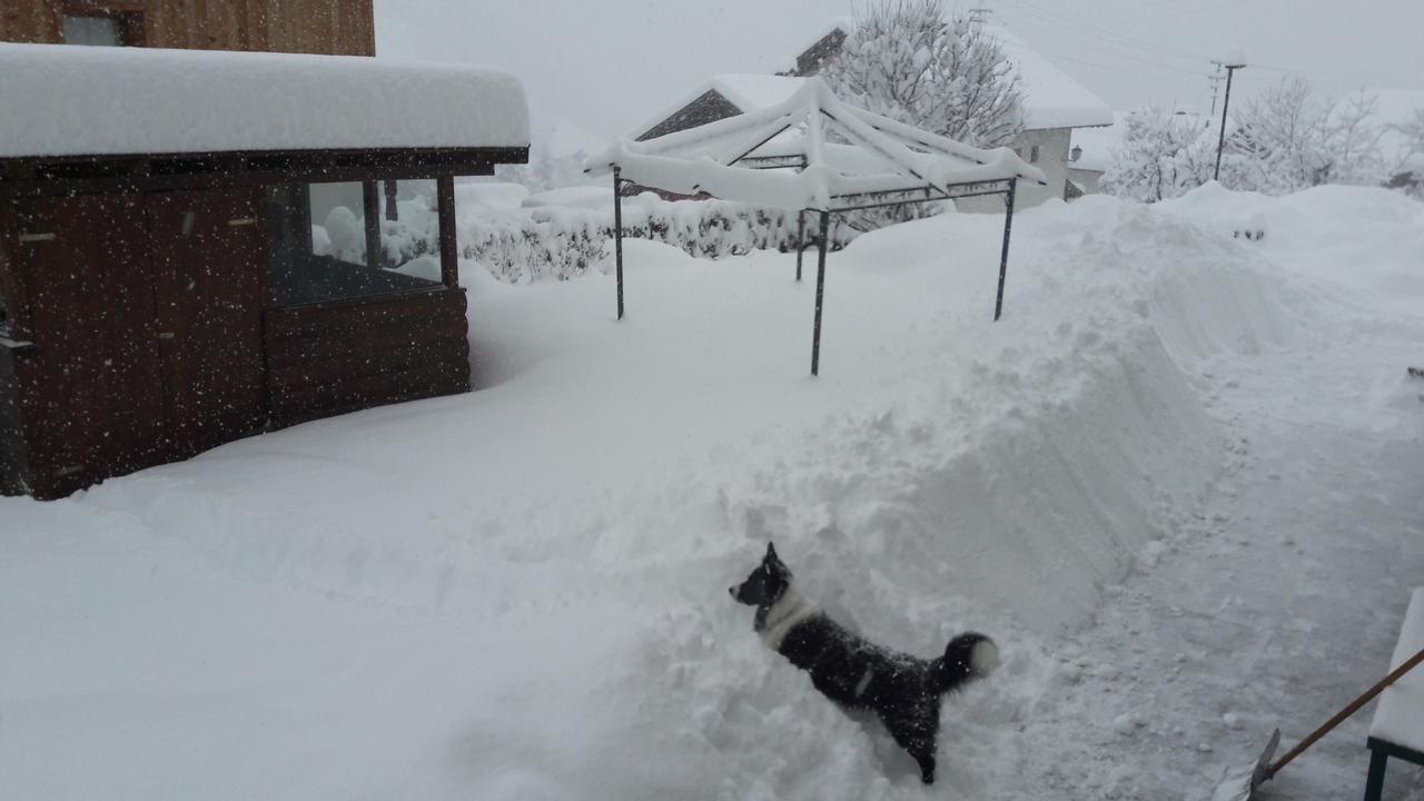 Haus Heidrun Appartamento *